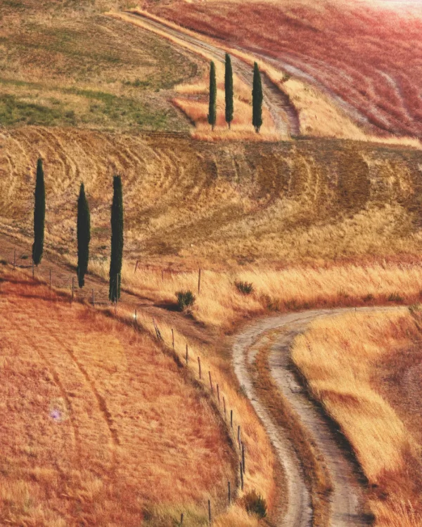A white strade bianche gravel road climbing through the Apennine foothills toward the Val d'Orcia in Tuscany