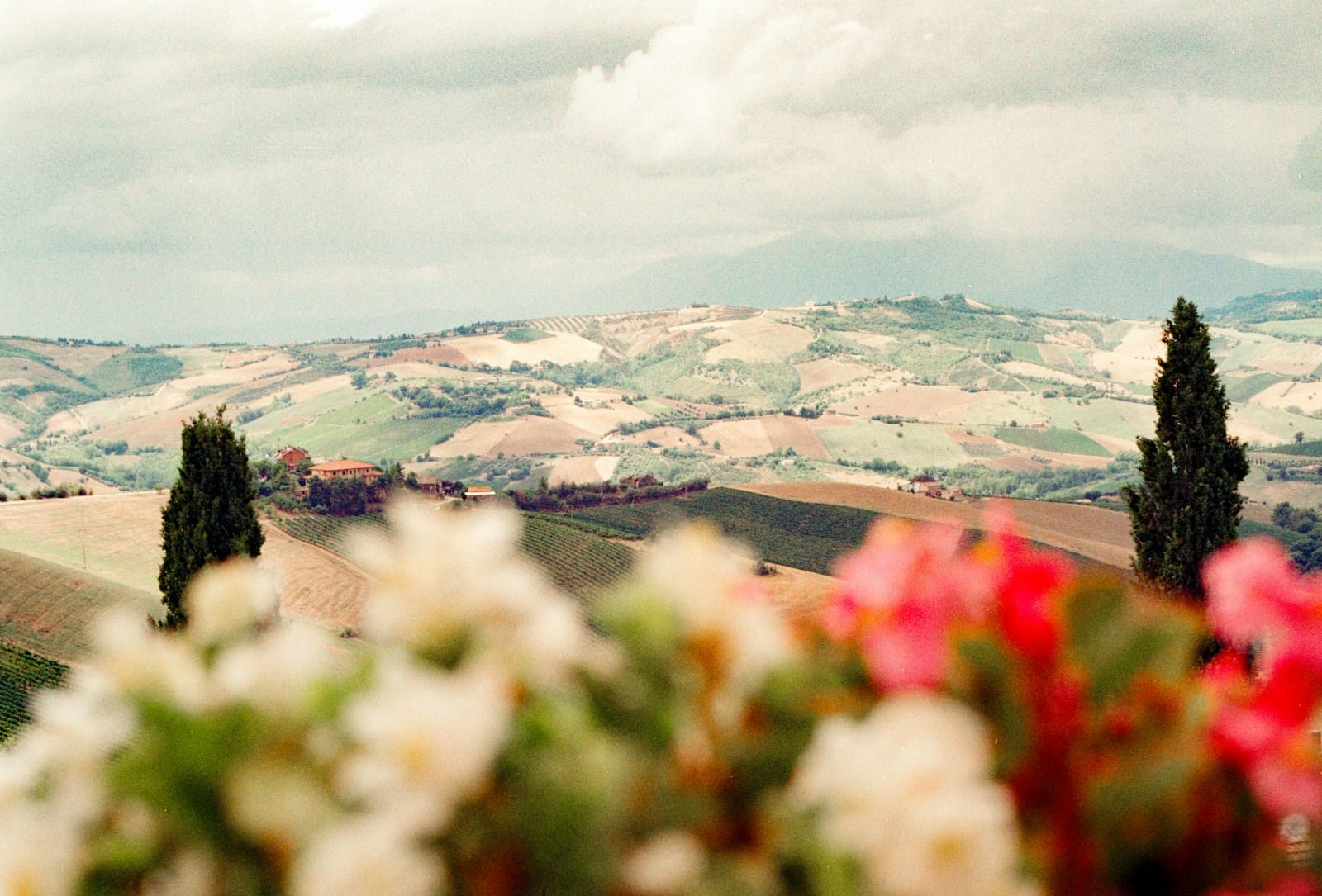 Gravel cyclist on a white road through Tuscan vineyards and rolling hills below an agriturismo