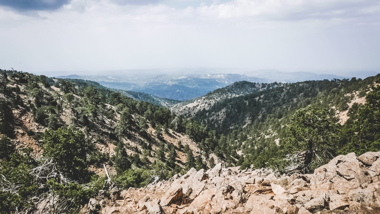 Pine-covered mountain ridges falling away toward a hazy plain
