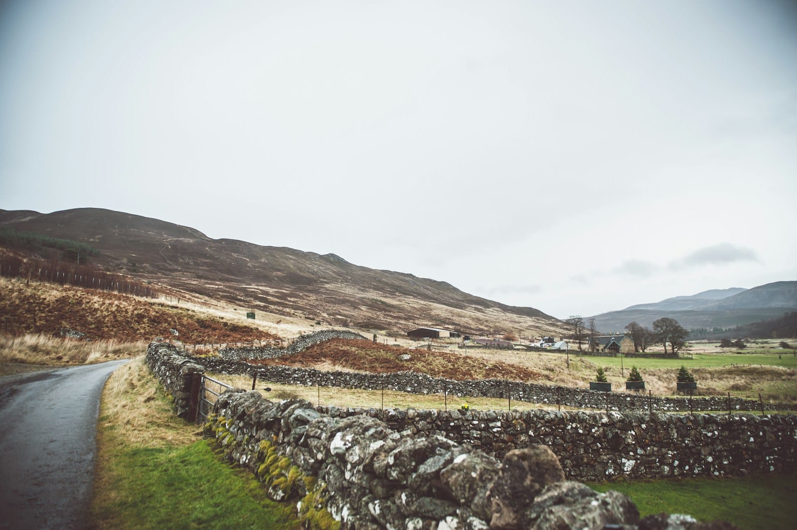 An empty gravel track running across open Highland moorland under a wide sky